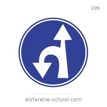 شاخصة المرور رقم 209