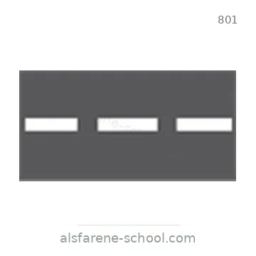 شاخصة المرور رقم 801
